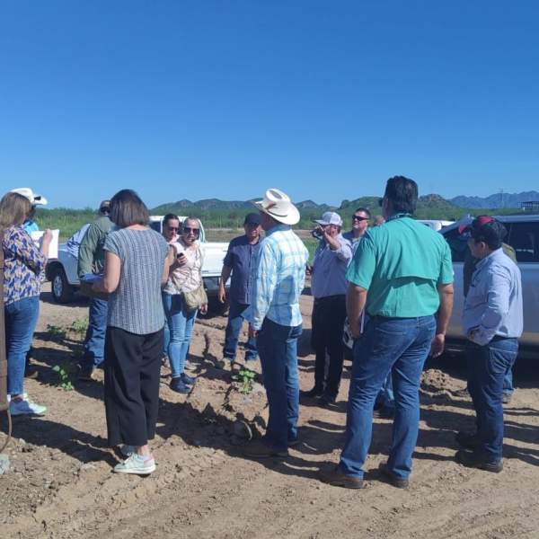 Inicia USDA revisión en Sonora como paso para la reapertura de la frontera: Gobierno de Sonora